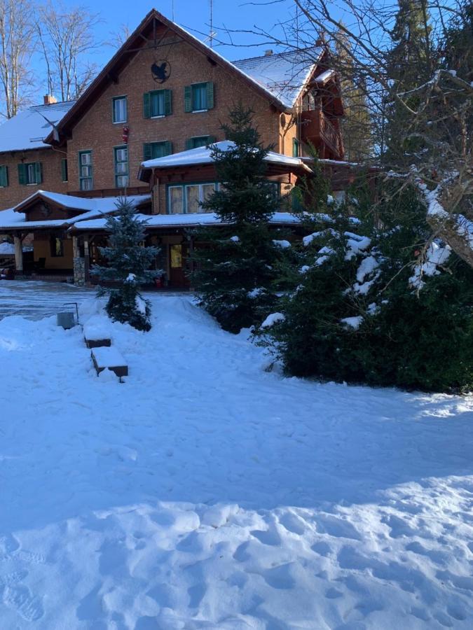 Bed and Breakfast Sebesvi­z Panzió Repashuta Exterior foto